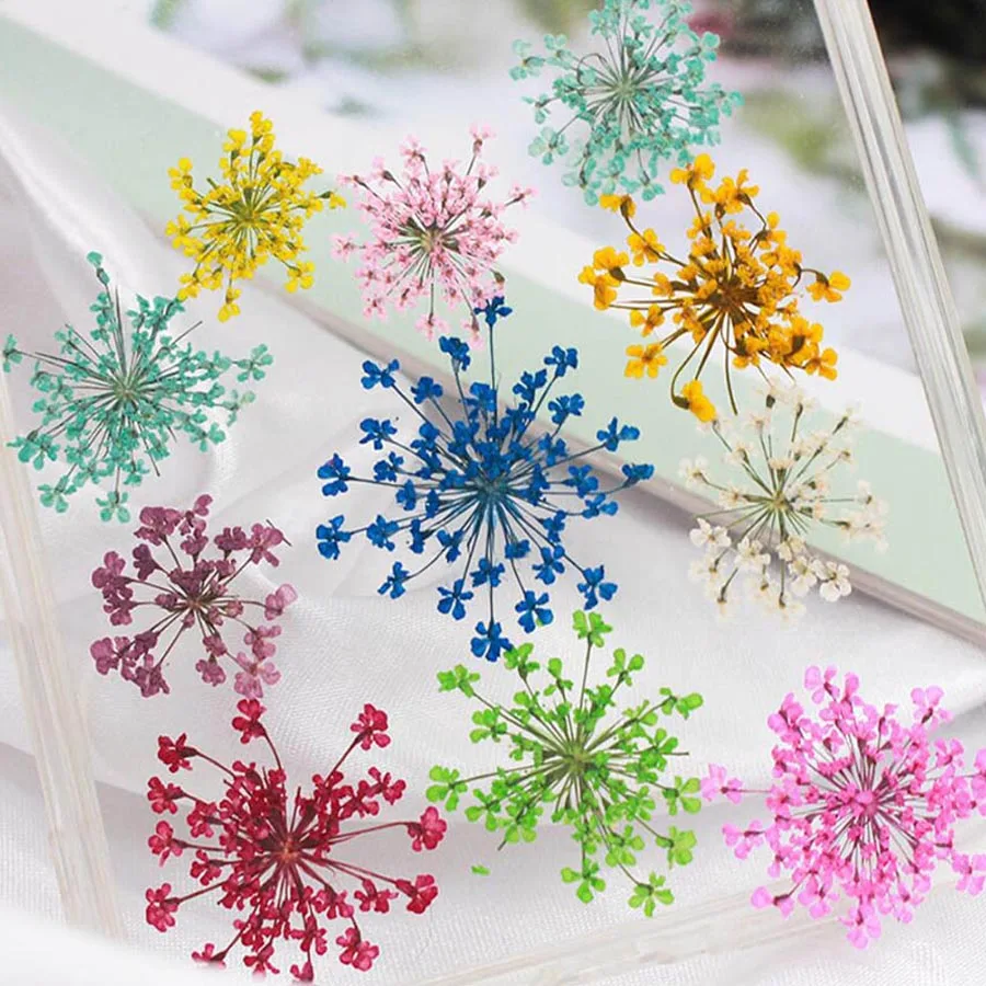 60 Stück gepresste getrocknete – Dried Flower Bookmark Bewertung und Preis